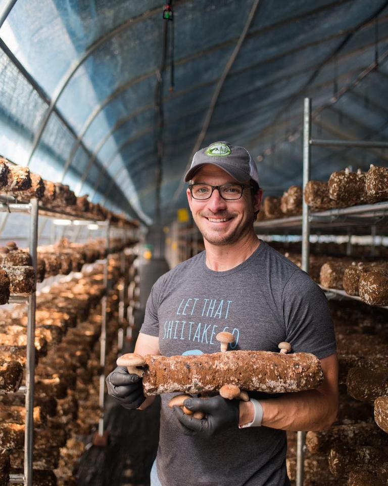 Ellijay Mushrooms